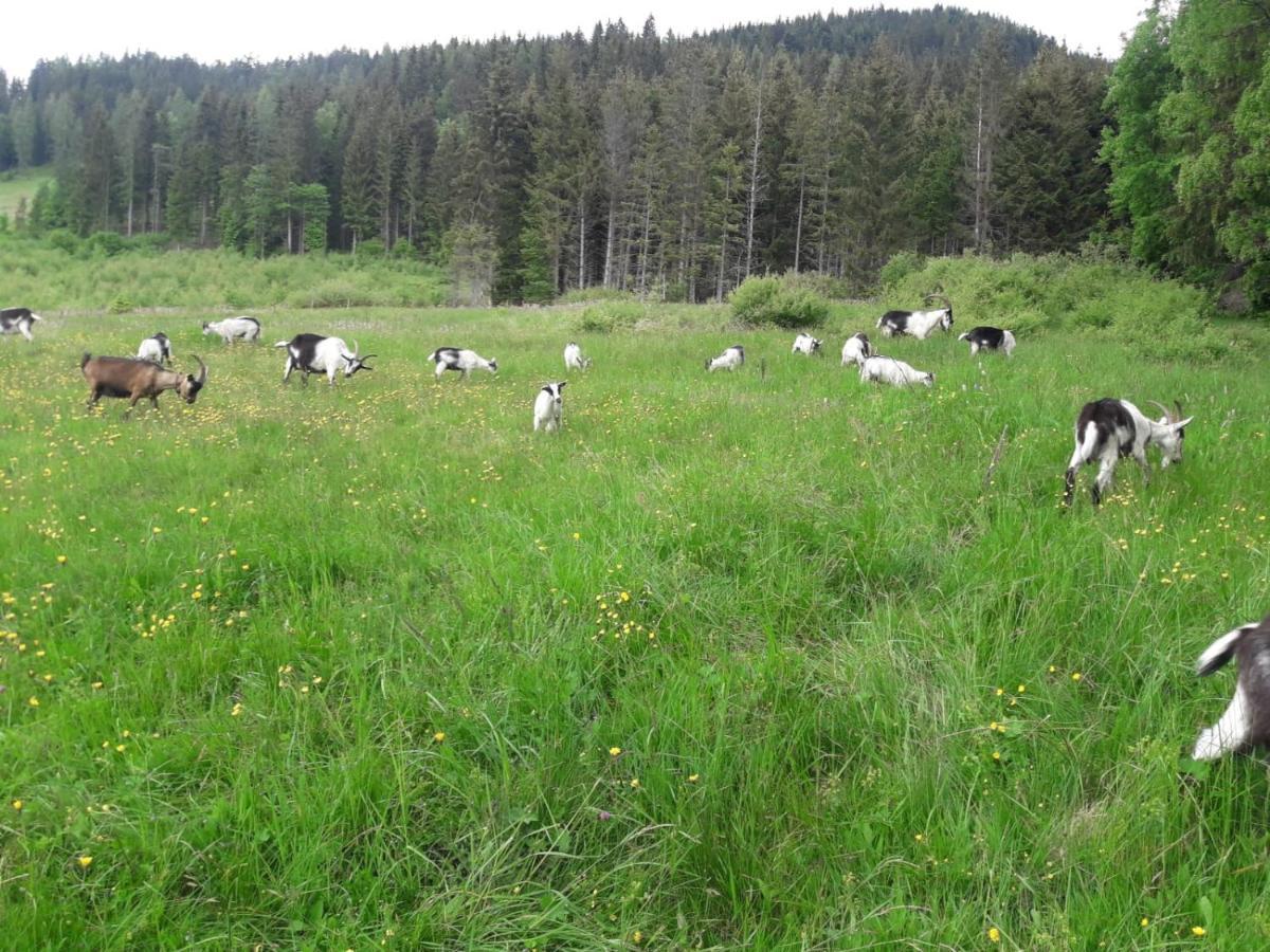 Niedermaisgut * Gasthof